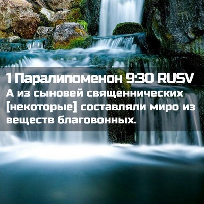 Picture 02 - 1 Паралипоменон 9:30 RUSV - А из сыновей - Bible Verse Picture