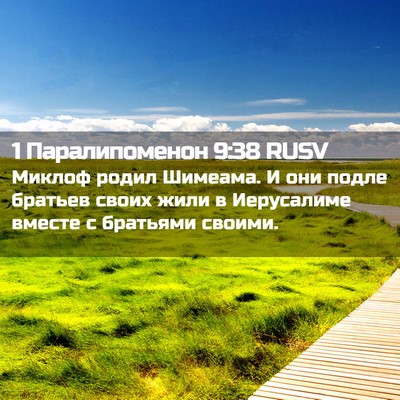 Picture 02 - 1 Паралипоменон 9:38 RUSV - Миклоф родил Шимеама. И они - Bible Verse Picture