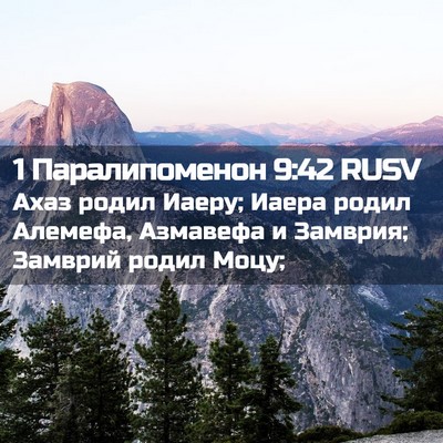 Picture 02 - 1 Паралипоменон 9:42 RUSV - Ахаз родил Иаеру; Иаера - Bible Verse Picture