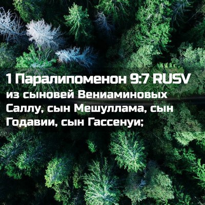 Picture 02 - 1 Паралипоменон 9:7 RUSV - из сыновей Вениаминовых - Bible Verse Picture