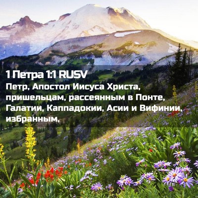 Picture 02 - 1 Петра 1:1 RUSV - Петр, Апостол Иисуса - Bible Verse Picture