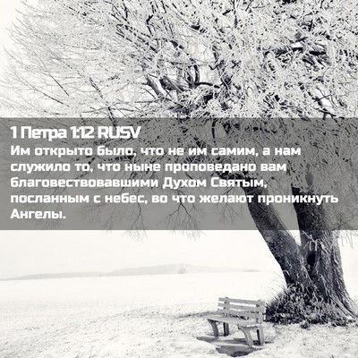 Picture 02 - 1 Петра 1:12 RUSV - Им открыто было, что не им - Bible Verse Picture