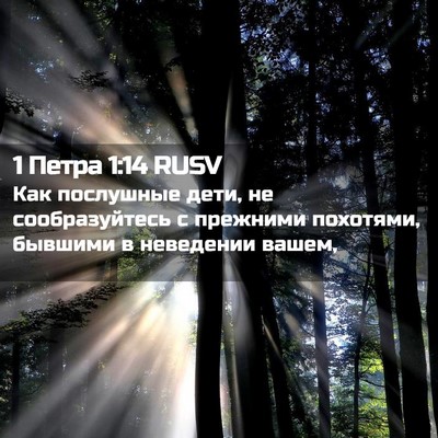 Picture 02 - 1 Петра 1:14 RUSV - Как послушные дети, не - Bible Verse Picture