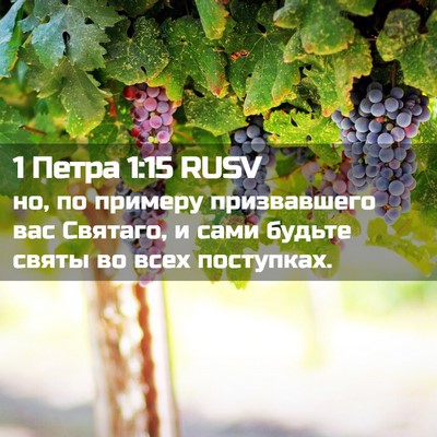 Picture 02 - 1 Петра 1:15 RUSV - но, по примеру призвавшего - Bible Verse Picture