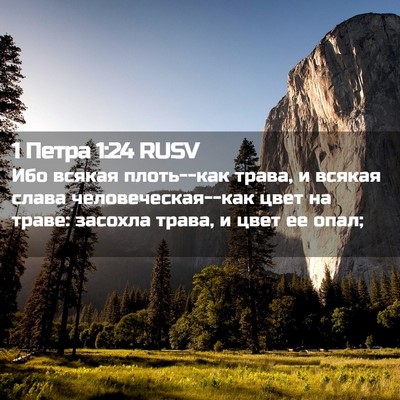 Picture 02 - 1 Петра 1:24 RUSV - Ибо всякая плоть--как - Bible Verse Picture