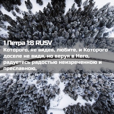 Picture 02 - 1 Петра 1:8 RUSV - Которого, не видев, любите, - Bible Verse Picture