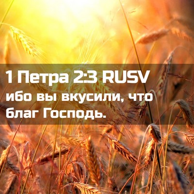 Picture 02 - 1 Петра 2:3 RUSV - ибо вы вкусили, что благ - Bible Verse Picture