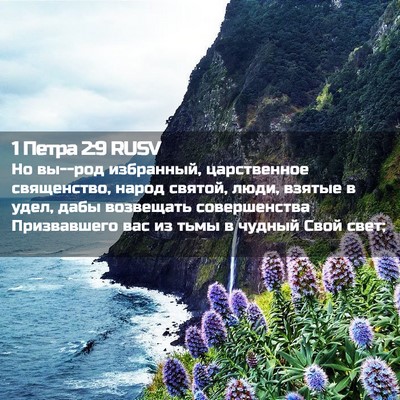 Picture 02 - 1 Петра 2:9 RUSV - Но вы--род избранный, - Bible Verse Picture