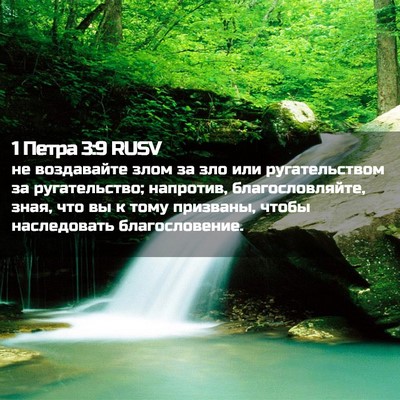 Picture 02 - 1 Петра 3:9 RUSV - не воздавайте злом за зло - Bible Verse Picture
