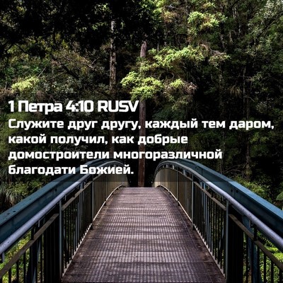 Picture 02 - 1 Петра 4:10 RUSV - Служите друг другу, каждый - Bible Verse Picture