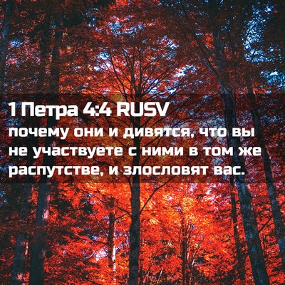 Picture 02 - 1 Петра 4:4 RUSV - почему они и дивятся, что - Bible Verse Picture