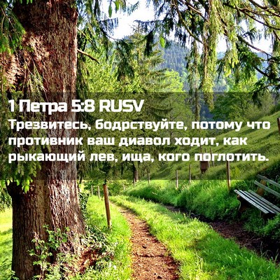 Picture 02 - 1 Петра 5:8 RUSV - Трезвитесь, бодрствуйте, - Bible Verse Picture