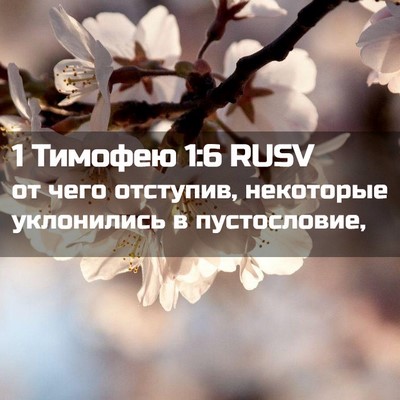 Picture 02 - 1 Тимофею 1:6 RUSV - от чего отступив, - Bible Verse Picture