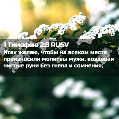 Picture 02 - 1 Тимофею 2:8 RUSV - Итак желаю, чтобы на всяком - Bible Verse Picture