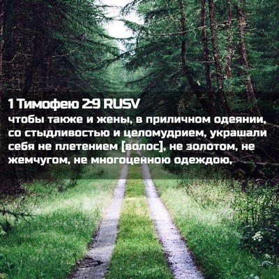 Picture 02 - 1 Тимофею 2:9 RUSV - чтобы также и жены, в - Bible Verse Picture