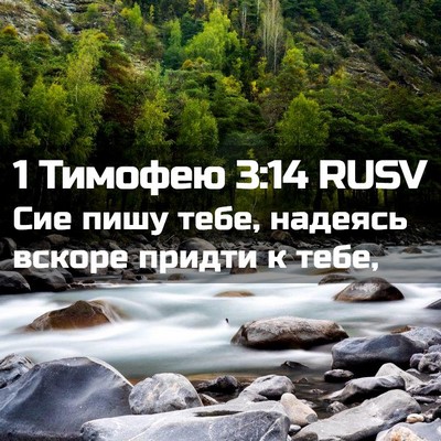 Picture 02 - 1 Тимофею 3:14 RUSV - Сие пишу тебе, надеясь - Bible Verse Picture