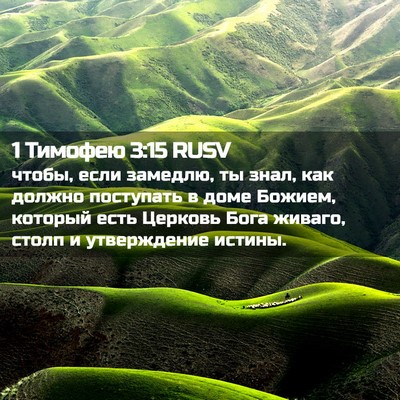 Picture 02 - 1 Тимофею 3:15 RUSV - чтобы, если замедлю, ты - Bible Verse Picture