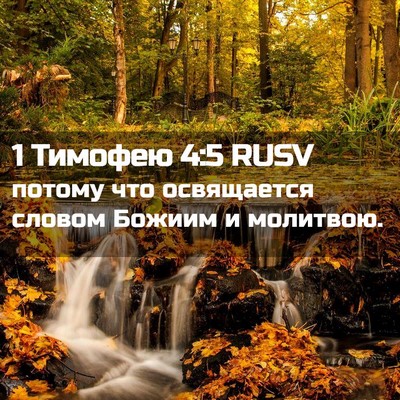 Picture 02 - 1 Тимофею 4:5 RUSV - потому что освящается - Bible Verse Picture
