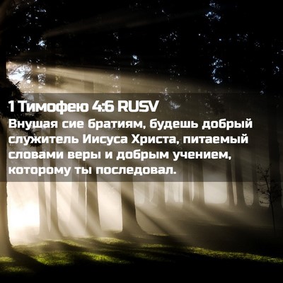 Picture 02 - 1 Тимофею 4:6 RUSV - Внушая сие братиям, будешь - Bible Verse Picture