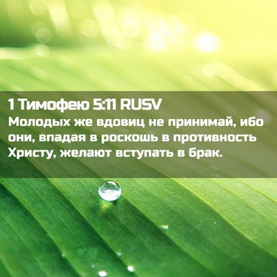 Picture 02 - 1 Тимофею 5:11 RUSV - Молодых же вдовиц не - Bible Verse Picture