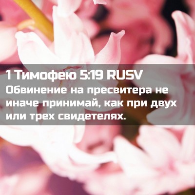 Picture 02 - 1 Тимофею 5:19 RUSV - Обвинение на пресвитера не - Bible Verse Picture