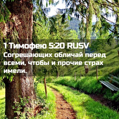 Picture 02 - 1 Тимофею 5:20 RUSV - Согрешающих обличай перед - Bible Verse Picture