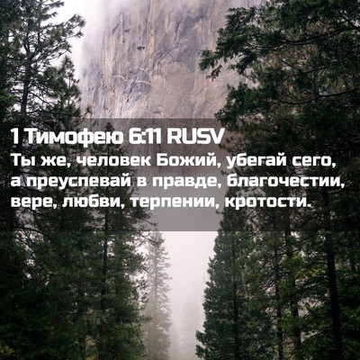 Picture 02 - 1 Тимофею 6:11 RUSV - Ты же, человек Божий, - Bible Verse Picture