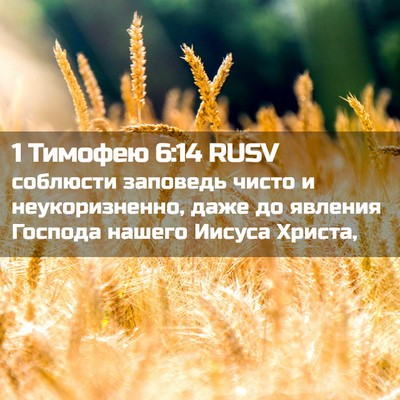 Picture 02 - 1 Тимофею 6:14 RUSV - соблюсти заповедь чисто и - Bible Verse Picture