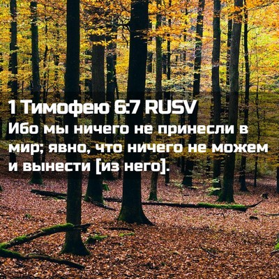 Picture 02 - 1 Тимофею 6:7 RUSV - Ибо мы ничего не принесли в - Bible Verse Picture