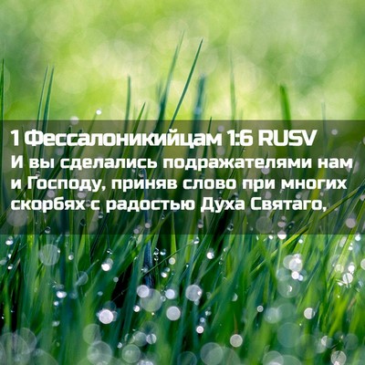 Picture 02 - 1 Фессалоникийцам 1:6 RUSV - И вы сделались - Bible Verse Picture