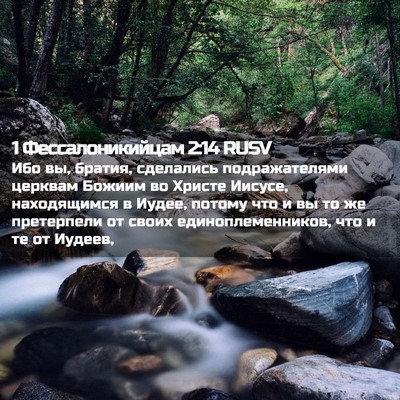 Picture 02 - 1 Фессалоникийцам 2:14 RUSV - Ибо вы, братия, сделались - Bible Verse Picture