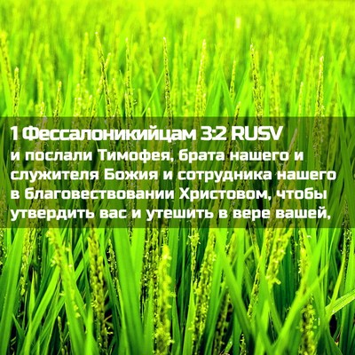 Picture 02 - 1 Фессалоникийцам 3:2 RUSV - и послали Тимофея, брата - Bible Verse Picture