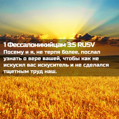 Picture 02 - 1 Фессалоникийцам 3:5 RUSV - Посему и я, не терпя более, - Bible Verse Picture