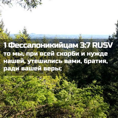 Picture 02 - 1 Фессалоникийцам 3:7 RUSV - то мы, при всей скорби и - Bible Verse Picture