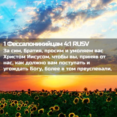 Picture 02 - 1 Фессалоникийцам 4:1 RUSV - За сим, братия, просим и - Bible Verse Picture