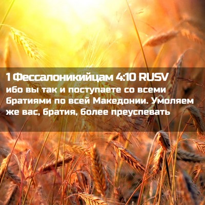 Picture 02 - 1 Фессалоникийцам 4:10 RUSV - ибо вы так и поступаете со - Bible Verse Picture