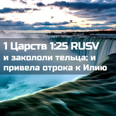 Picture 02 - 1 Царств 1:25 RUSV - и закололи тельца; и - Bible Verse Picture