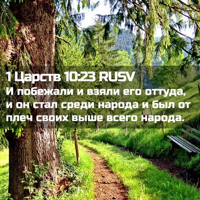 Picture 02 - 1 Царств 10:23 RUSV - И побежали и взяли его - Bible Verse Picture