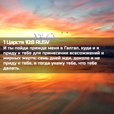 Picture 02 - 1 Царств 10:8 RUSV - И ты пойди прежде меня в - Bible Verse Picture