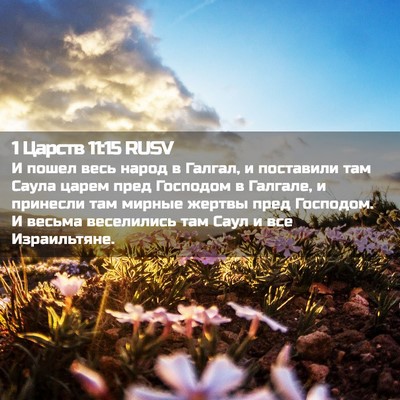 Picture 02 - 1 Царств 11:15 RUSV - И пошел весь народ в - Bible Verse Picture