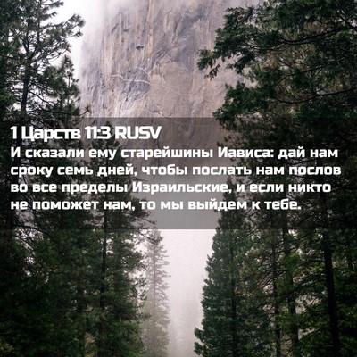 Picture 02 - 1 Царств 11:3 RUSV - И сказали ему старейшины - Bible Verse Picture