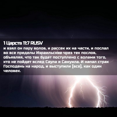 Picture 02 - 1 Царств 11:7 RUSV - и взял он пару волов, и - Bible Verse Picture