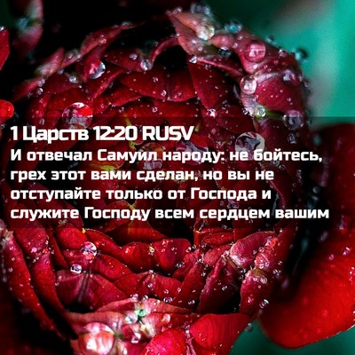 Picture 02 - 1 Царств 12:20 RUSV - И отвечал Самуил народу: не - Bible Verse Picture