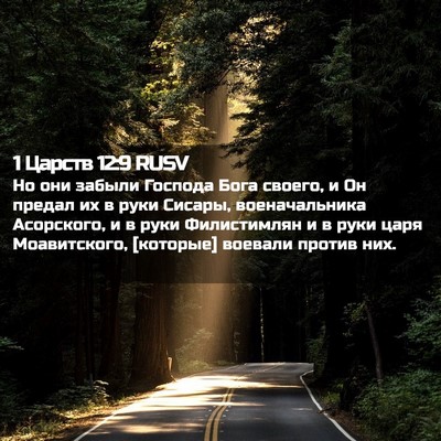 Picture 02 - 1 Царств 12:9 RUSV - Но они забыли Господа Бога - Bible Verse Picture