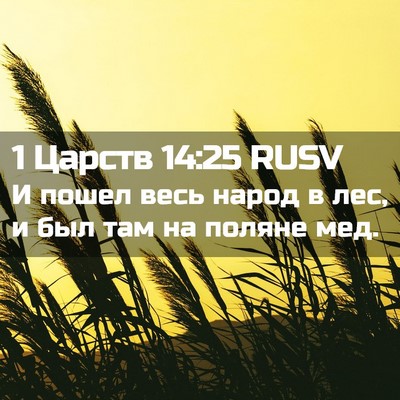 Picture 02 - 1 Царств 14:25 RUSV - И пошел весь народ в лес, и - Bible Verse Picture