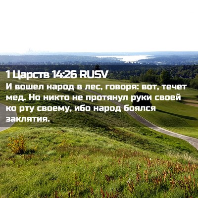 Picture 02 - 1 Царств 14:26 RUSV - И вошел народ в лес, говоря: - Bible Verse Picture