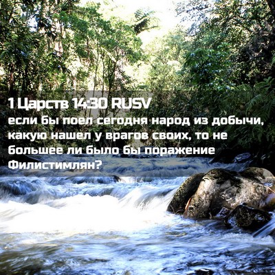 Picture 02 - 1 Царств 14:30 RUSV - если бы поел сегодня народ - Bible Verse Picture