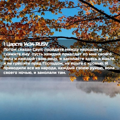 Picture 02 - 1 Царств 14:34 RUSV - Потом сказал Саул: - Bible Verse Picture