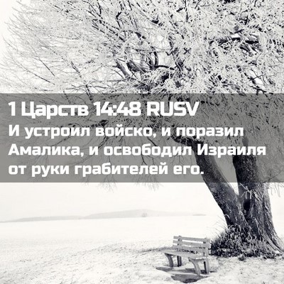 Picture 02 - 1 Царств 14:48 RUSV - И устроил войско, и поразил - Bible Verse Picture