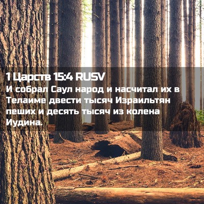 Picture 02 - 1 Царств 15:4 RUSV - И собрал Саул народ и - Bible Verse Picture